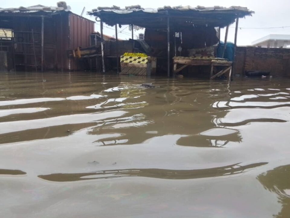 Rain Of Reckoning: Maiduguri’s Flood Fury Topples Eight Buildings — And Exposes Nigeria’s Rotting Foundations